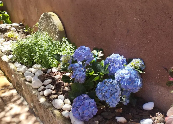 Casa Azafran Torrijo del Campo